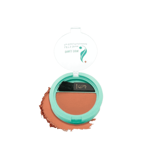 رژ گونه شال کوین کد 405